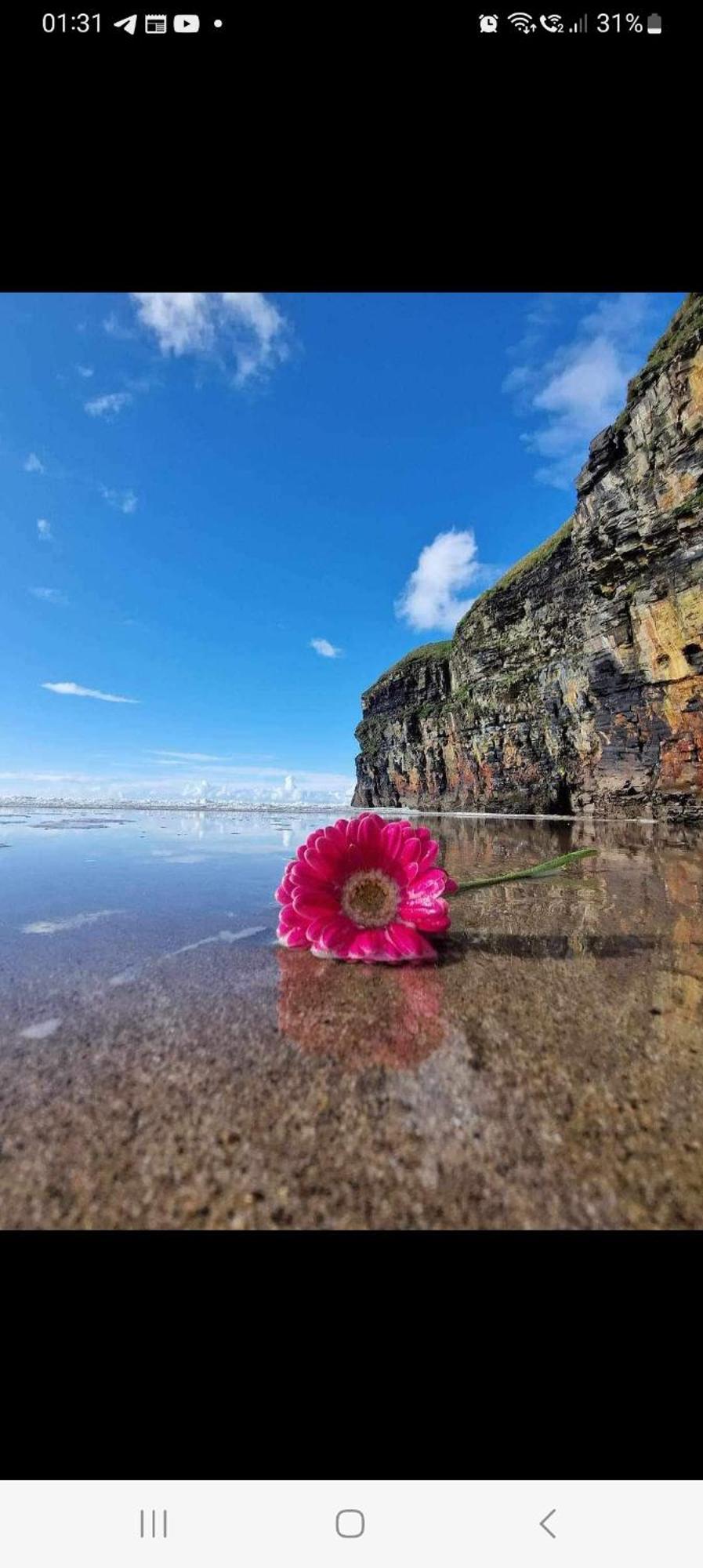 Luxury Holiday Rental With Sea Views On The Wild Atlantic Way ترالي المظهر الخارجي الصورة